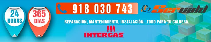 Reparación de calderas Intergas en Madrid